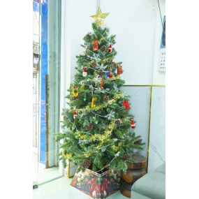 GIÁNG SINH NOEL